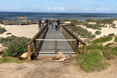 Kangaroo Island 4WD Tour - Best Of KI - Australia Accommodation 2