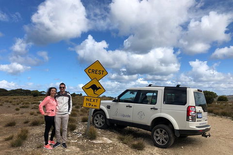 Kangaroo Island 4WD Tour - Best Of KI - Australia Accommodation 5