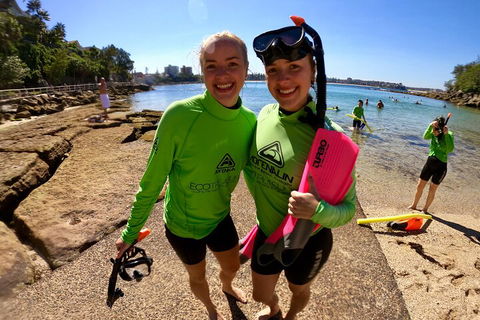 Manly Snorkel Trip And Nature Walk With Local Guide - Australia Accommodation 1