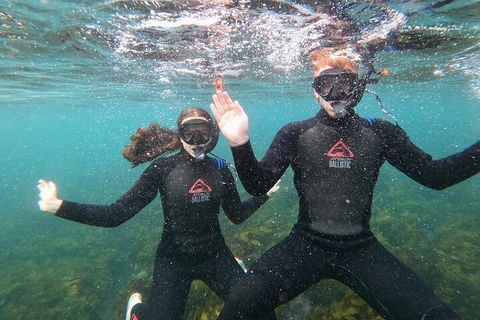 Manly Snorkel Trip And Nature Walk With Local Guide - Australia Accommodation 3