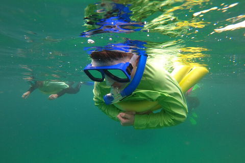 Manly Snorkel Trip And Nature Walk With Local Guide - Australia Accommodation 5