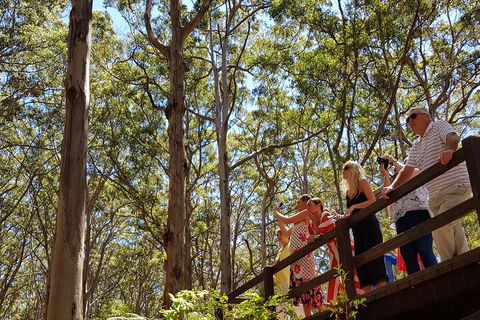 The All About Margaret River Tour: Wine, Coffee, Lunch And Forest - Australia Accommodation 3