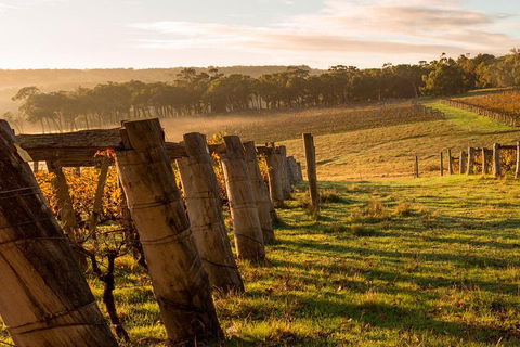 The All About Margaret River Tour: Wine, Coffee, Lunch And Forest - Australia Accommodation 5