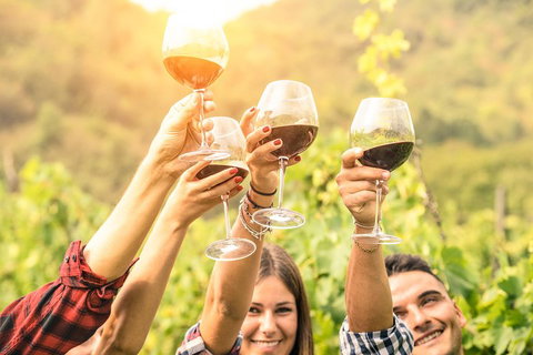 Barossa Valley Cellar Doors Luxury Wine Tour - Australia Accommodation 1