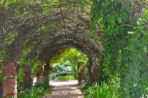 Barossa Valley Cellar Doors Luxury Wine Tour - Australia Accommodation 3