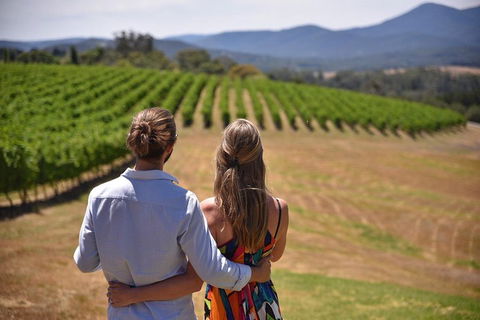 Yarra Valley Wine, Bubbles And Gin Tour! - Australia Accommodation 4