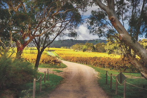 McLaren Vale Winery Small Group Tour With Wine Tasting And Lunch - Australia Accommodation 1