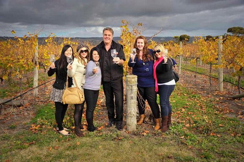 McLaren Vale Winery Small Group Tour With Wine Tasting And Lunch - Australia Accommodation 3