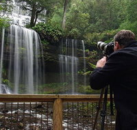 Mt Field and Styx Valley Photography Tour - Australia Accommodation