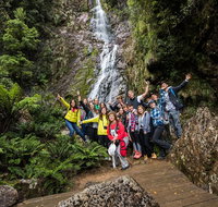 5-Day Lap of Tasmania Tour from Hobart flexible ticket - Australia Accommodation