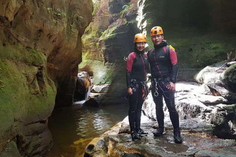 Blue Mountains Empress Canyon Adventure From Wentworth Falls - Australia Accommodation 0