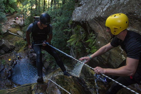 Blue Mountains Empress Canyon Adventure From Wentworth Falls - Australia Accommodation 2