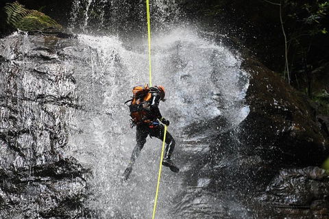 Blue Mountains Empress Canyon Adventure From Wentworth Falls - Australia Accommodation 3