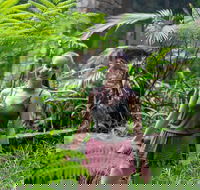 Full-Day Guided Hinterland Adventure Tour in Queensland - Australia Accommodation