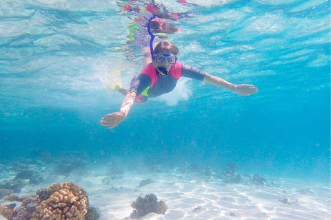 Lagoon Explorer - Ningaloo Reef Full-Day Kayaking And Snorkeling Adventure - Australia Accommodation 5