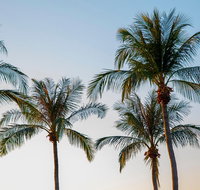 Darwin City Sightseeing Tour - Australia Accommodation