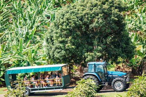 Northern Rivers Full Day Wine Tour - Australia Accommodation 1