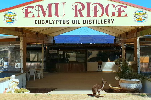 2-Day Kangaroo Island Safari From Adelaide - Australia Accommodation 4