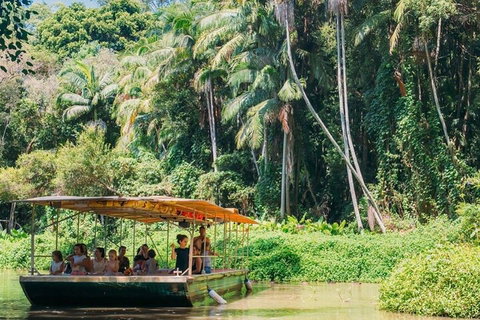 Tropical Fruit World Farm Full Tour - Australia Accommodation 0