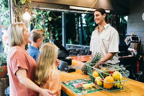 Tropical Fruit World Farm Full Tour - Australia Accommodation 2