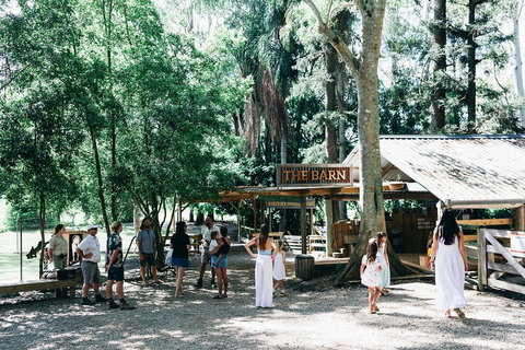 Tropical Fruit World Farm Full Tour - Australia Accommodation 3