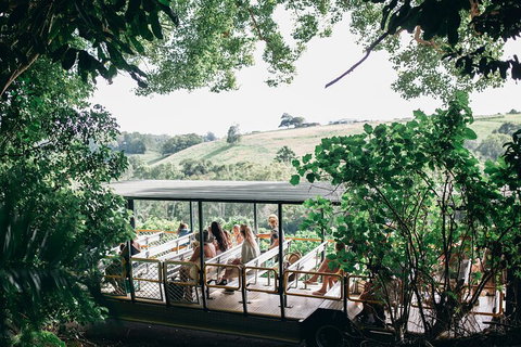 Tropical Fruit World Farm Full Tour - Australia Accommodation 4