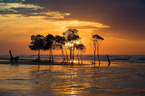 Delightful Darwin Self-Guided Audio Tour - Australia Accommodation 3