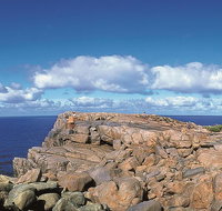 4 Day Tour Albany Margaret River Valley of the Giants TreeTop Walk from Perth - Australia Accommodation