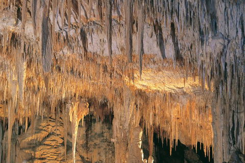 Margaret River, Caves, Wine And Cape Leeuwin Lighthouse Tour From Perth - Australia Accommodation 3