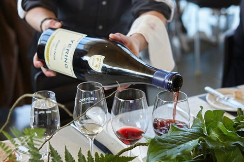 Yarra Valley Gourmet Small-Group Ecotour From Melbourne - Australia Accommodation 3