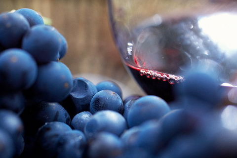 Yarra Valley 2-6 Guests Premium Food And Wine Inc Lunch At Dominique Portet - Australia Accommodation 5