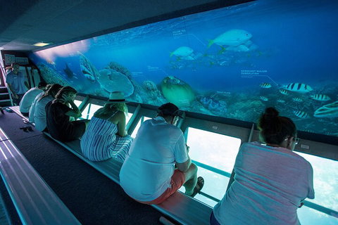 Great Barrier Reef Day Cruise To Reefworld - Australia Accommodation 0