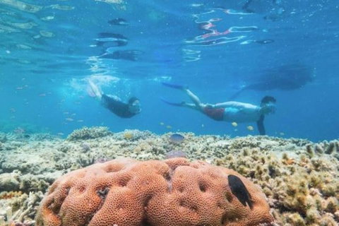 Great Barrier Reef Day Cruise To Reefworld - Australia Accommodation 1