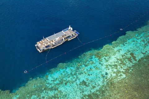 Great Barrier Reef Day Cruise To Reefworld - Australia Accommodation 2