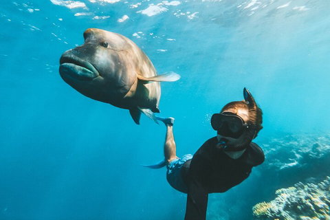 Great Barrier Reef Day Cruise To Reefworld - Australia Accommodation 3