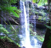 Mt Field National Park and Russell Falls from Hobart - Australia Accommodation