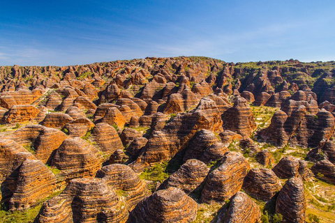 Bungle Bungle Explorer - Australia Accommodation 1