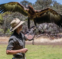One Day Kangaroo Island Sip  See tour with return ferry transfers from Adelaide - Australia Accommodation