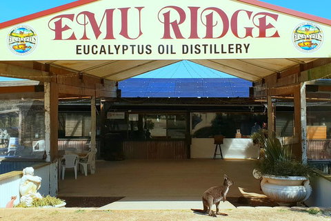 2 Day Ultimate Kangaroo Island With Return Ferry - Australia Accommodation 3