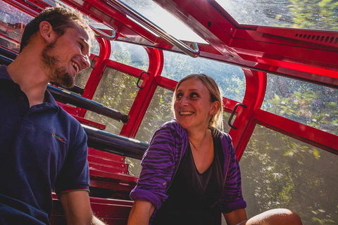 Blue Mountains Hop-on Hop-off Tour With Optional Scenic World Rides - Australia Accommodation 5
