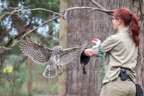 Moonlit Sanctuary Wildlife Conservation Park Daytime General Entry Ticket - Australia Accommodation 1