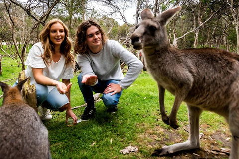 Moonlit Sanctuary Wildlife Conservation Park Daytime General Entry Ticket - Australia Accommodation 2