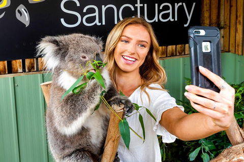 Moonlit Sanctuary Wildlife Conservation Park Daytime General Entry Ticket - Australia Accommodation 4