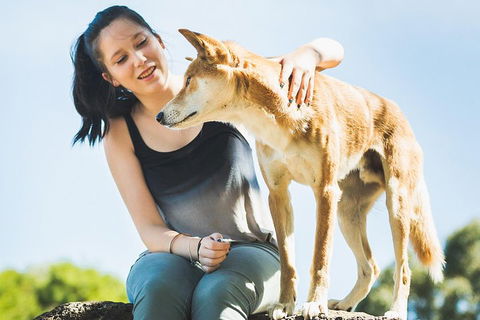 Moonlit Sanctuary Wildlife Conservation Park Daytime General Entry Ticket - Australia Accommodation 5