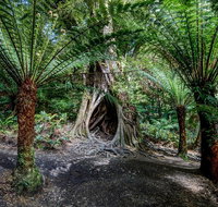 Adelaide to Melbourne 3-Day Trip through Grampians and Great Ocean Road - Australia Accommodation