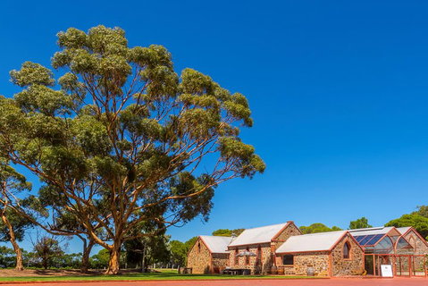 McLaren Vale And Glenelg Wine Tasting And Sightseeing (Half-day Afternoon) - Australia Accommodation 5