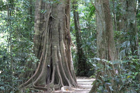 Noosa And Sunshine Coast Hinterland Day Trip From Brisbane - Australia Accommodation 3