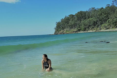Noosa And Sunshine Coast Hinterland Day Trip From Brisbane - Australia Accommodation 4