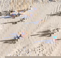 Unlimited Sandboarding - Australia Accommodation