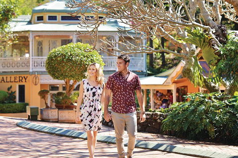 Sunshine Coast Hinterland Rainforest, Views And Montville Day Tour Inc. Lunch - Australia Accommodation 4